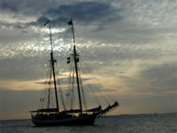 Mallory Square 