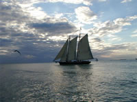 Mallory Square 