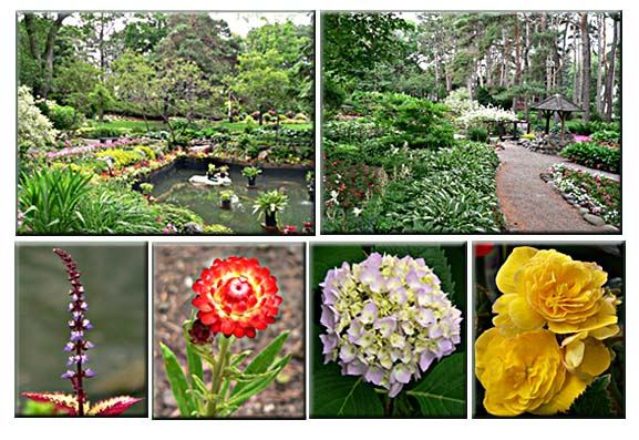 Minsinger Gardens
