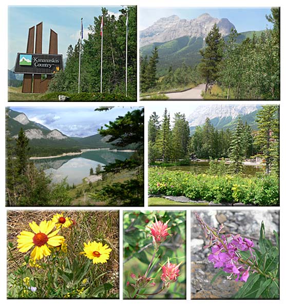 Kananaski Country